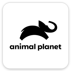 animalplanet