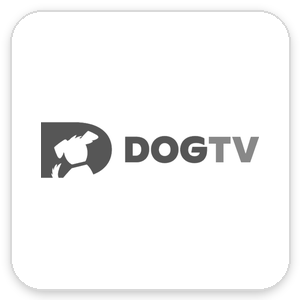 dogtv